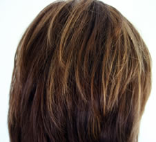 La coloraci�n